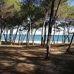 D'ogliastra 3* Triei