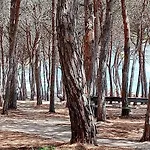 D'ogliastra 3*