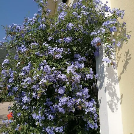 Pensionat D'ogliastra,