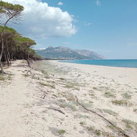 Pensionat D'ogliastra,