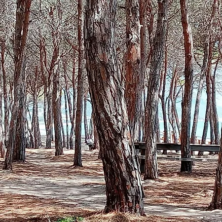 D'ogliastra 3*