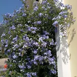 Pensjonat D'ogliastra
