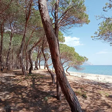 Πανσιόν D'ogliastra,