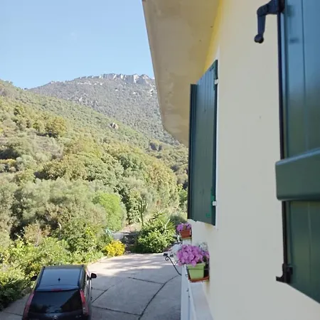 D'ogliastra, Triei