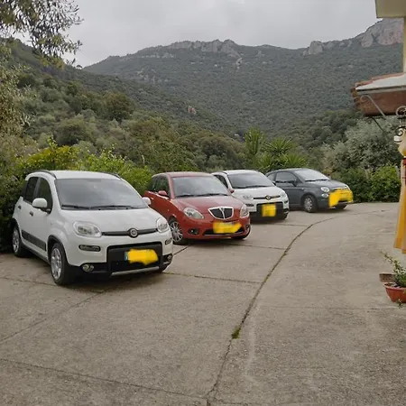 D'ogliastra, Triei