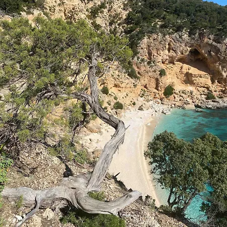 Πανσιόν D'ogliastra, Triei