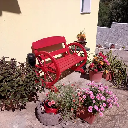 D'ogliastra, Triei